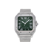 Santos Large Steel Green