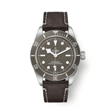 Tudor Black Bay 58 Silver 925