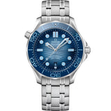 Seamaster Diver 300m