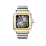 Cartier Santos Large Model